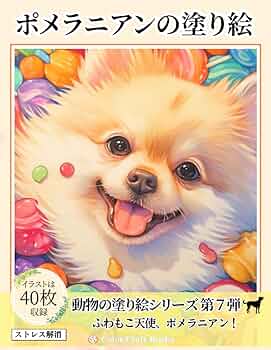 61qx+pprW3L._AC_UF350, 61qx+pprW3L._AC_UF350,